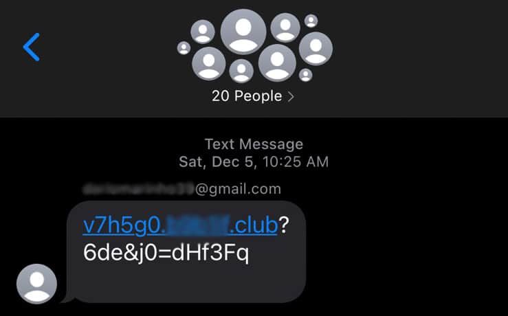 screenshot of scam text