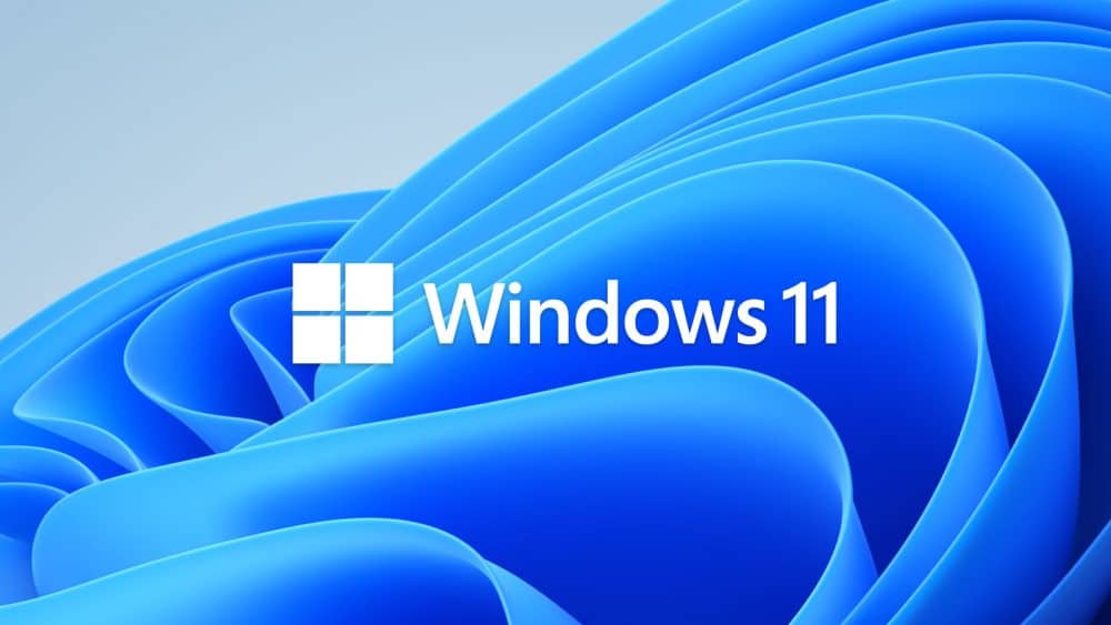 Windows 11 Bloom